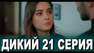 Дикий 21 серия на русском языке. Новый турецкий сериал