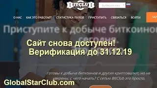 BitclubNetwork - Сайт снова доступен! Верификация до 31.12.19