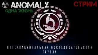 S.T.A.L.K.E.R Anomaly 1.5.2  + тайный Челлендж Серия 33 играем за Группировку ИИГ. (попытка 24)