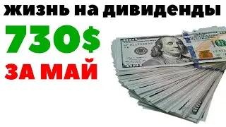 +730$: Жизнь на дивиденды в Португалии. Как получать дивиденды в России, Турции, Грузии и Европе?