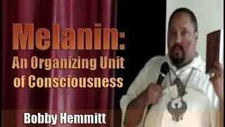 Bobby Hemmitt | Melanin:  An Organizing Unit of Consciousness (5Feb11)