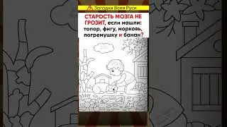 Старость мозга не страшна, если нашли все предметы