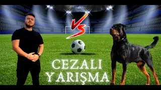 Rottweiler MARLA'YA GOL ATAMAYAN CEZAYI ÇEKER! - YARIŞMA ⚽️