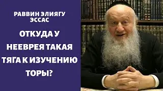 Откуда у нееврея такая тяга к изучению Торы?