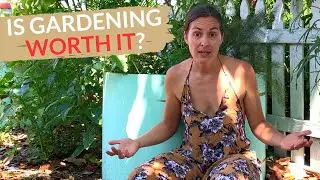 How I Save HUNDREDS Growing My Own Food (Is Growing Food Really Worth It?)