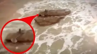 5 РУСАЛОК Снятых на Камеру и Замеченных в Реальной Жизни!!!