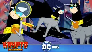 Krypto The Superdog | Bat-Hound's Gadgets | @dckids ​