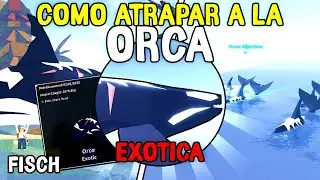 ¡Las técnicas más efectivas para atrapar orcas en  [Fisch] [ROBLOX]!🐋
