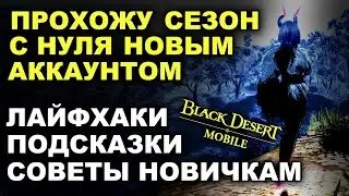 📱BDM: СЕЗОН. Прохожу на новом акке. Советы, подсказки, лайфхаки в Black Desert Mobile (БДМ)