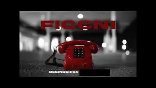 DESINGERICA BEZ PLJUGICE - FICCNI