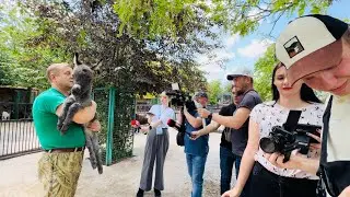 В Тайгане ДЕСАНТ ТЕЛЕКАНАЛОВ все хотят увидеть новорожденных малышей!