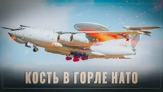 Кость в горле НАТО: 
