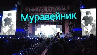 КИНО - Муравейник (Live на FRF)