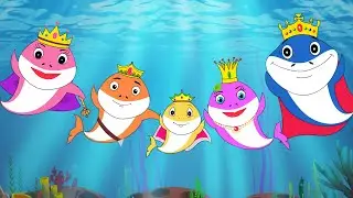 Royal Sharks + More 