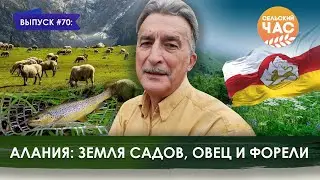 Алания: земля садов, овец и форели. Сельский час #70 (Игорь Абакумов)
