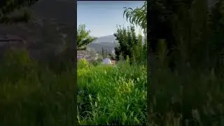 Абдула Миарсо | чтение под Идрис Абкар