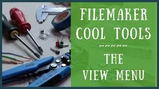 FileMaker's View menu - 14 cool tools to make work easier!  | User Tutorial | FileMaker For You