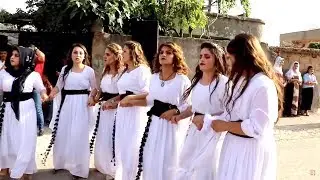 Şırnak/Silopi Düğünü Cemal Kanıt Düğünü 2 Bölüm Video [Foto deniz silopi]