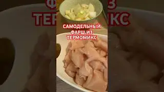 САМОДЕЛЬНЫЙ ФАРШ ИЗ ТЕРМОМИКС. Очень удобно☺️ 