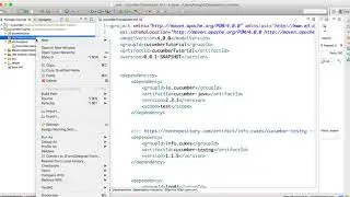 Cucumber Selenium Project SetUp and Feature File