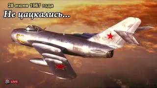 НЕ ЦАЦКАЛИСЬ #10