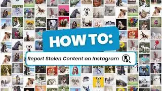 How to report content stole on Instagram