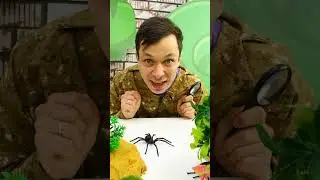 #Игрушки 🕷️#ПАУКИ🕷️сбежали из зоопарка! 🐞Леди Баг их не боится?! Игры для детей в #куклы #ЛедиБаг