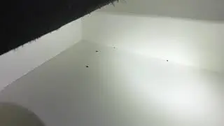 Bed bugs falling into draw while using heat