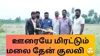 Bees Attack - இவ்வளவு ஆபத்தானதா மலை தேனீகள் |  Aggressive wild bees |  #wildhoneyhunters
