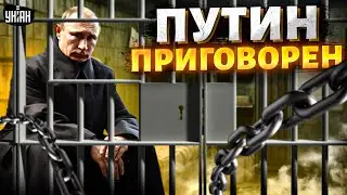 "Вы АРЕСТОВАНЫ": Путин приговорен. Цирк в Монголии ВЗОРВАЛ сеть. Неожиданный поворот - Шейтельман