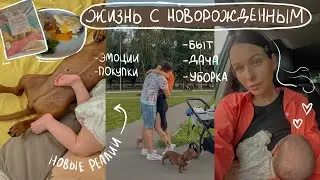 новый быт с малышом | уборка квартиры, покупки с вайлдбериз, загородный домик 🏡