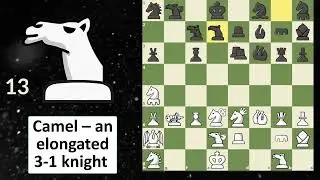 All Fairy Chess Pieces in one Game | 23 Fairy Chess Pieces | Fairy Chess pieces moves