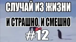 СЛУЧАЙ ИЗ ЖИЗНИ #12 -|||- И СТРАШНО, И СМЕШНО