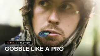 Step-By-Step Guide to Gobbling With a Mouth Call