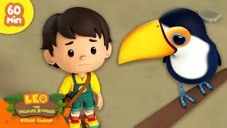 🏝️🌊 BEST TROPICAL ANIMALS! 🌺🍹 Toucans, Sloths & more! | Leo the Wildlife Ranger | Kids Cartoons