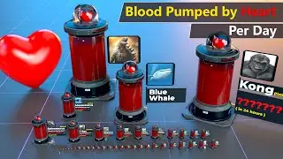 Blood Pumped by Heart per day Comparison | Animal | bird | Godzilla | Kong