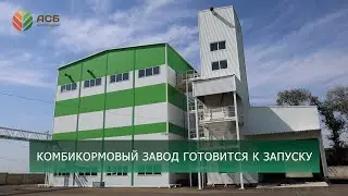 Уборка подсолнечника/Уборка кукурузы/Подготовка комбикормового завода к запуску/Новое производство