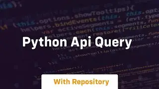 python api query