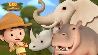 GIANT ANIMALS! 🐘🦏 Elephants, Hippopotamus and MORE! 🎊 | Leo the Wildlife Ranger | Kids Cartoons