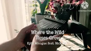 Where the Wild Roses grow— Kylie Minogue & Nick Cave|chromatic kalimba cover| хроматическая калимба