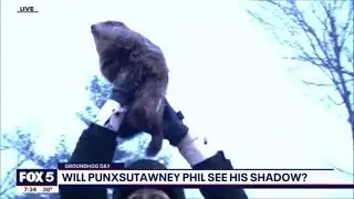 Groundhog Day 2022: Punxsutawney Phil sees shadow, predicts 6 more weeks of winter