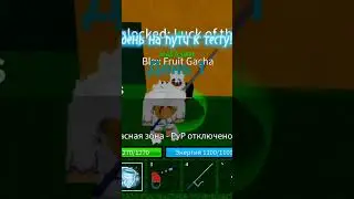 день 1 на пути к тесту!