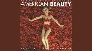 American Beauty