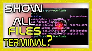 How Do You Show All Your Files in the Linux Terminal