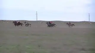 Скачки Дагестан.с КУНБАТАР. 20.04.2019. 2400м