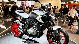 10 Best New Beginner Street Sport Motorcycles Choices in 2024