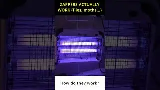 Bug Zappers Do Work - You need to know HOW to use them