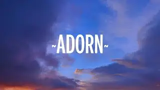 Miguel - Adorn (Lyrics)