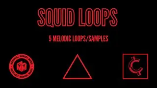 MELODIC SAMPLE PACK/LOOPKIT 