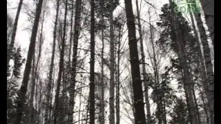 Уроки Православия. Школа покаяния. Урок 43. («Слово о смерти». 1 часть). 25 февраля 2015